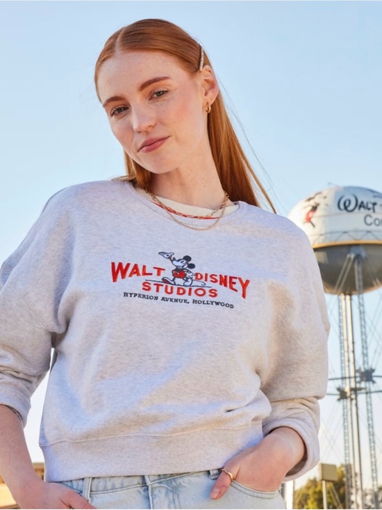 Disney Sweaters - Walt Disney Studios Grey Crop Crewneck